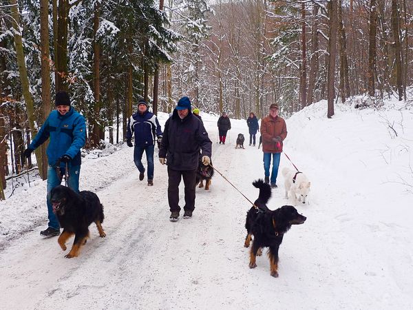 Carry, Betty und Desiree